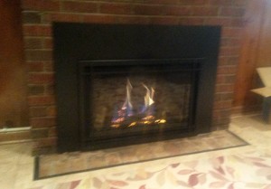 Direct Vent Gas Insert