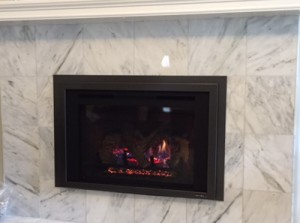 Direct Vent Gas Insert