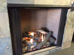 Vent Free Firebox and Log Set