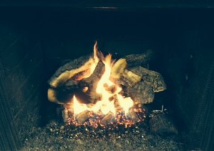 Radiant Heat Vented Log Set