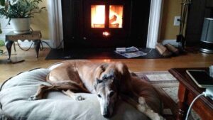 Greisen Heat Champion in Virginia