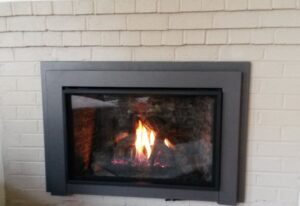 Direct Vent Gas Insert